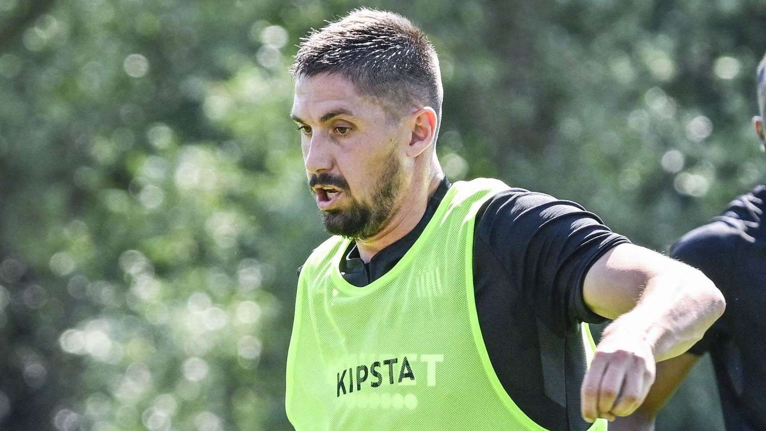 了强有力的 了强有力的